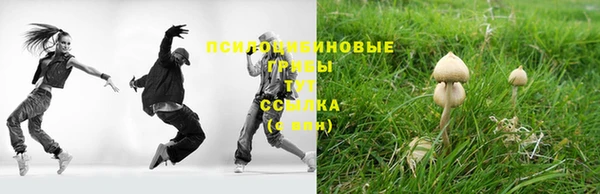 прущие грибы Кукмор