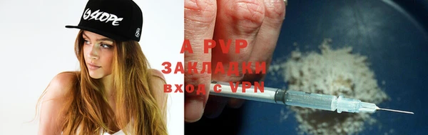 прущие грибы Кукмор