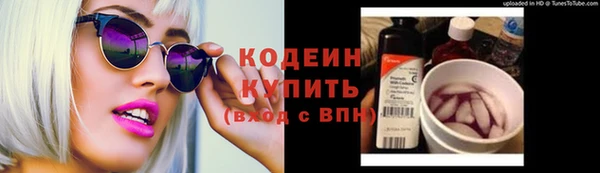 прущие грибы Кукмор