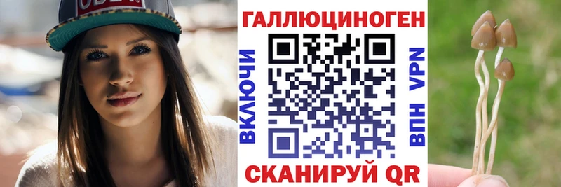 мориарти телеграм  ОМГ ОМГ как войти  Новотитаровская  Псилоцибиновые грибы мухоморы 