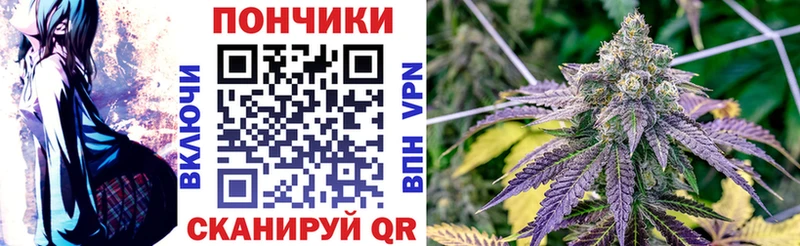 наркотики  Новотитаровская  Бошки Шишки LSD WEED 